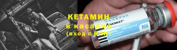 крисы Алексин