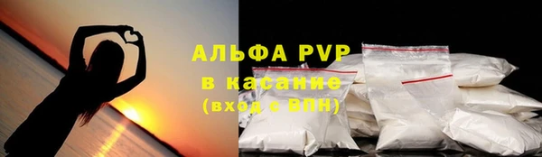 крисы Алексин