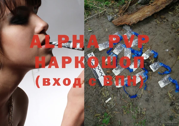 крисы Алексин