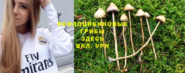 крисы Алексин