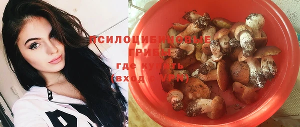 Альфа ПВП Алексеевка