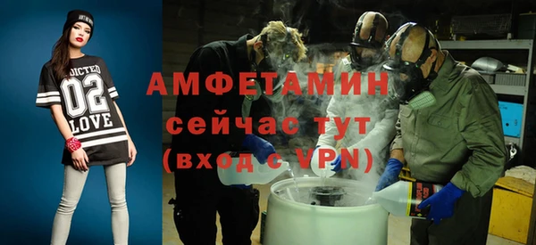 крисы Алексин