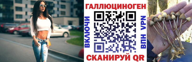 hydra зеркало  Новочеркасск  Галлюциногенные грибы мицелий 